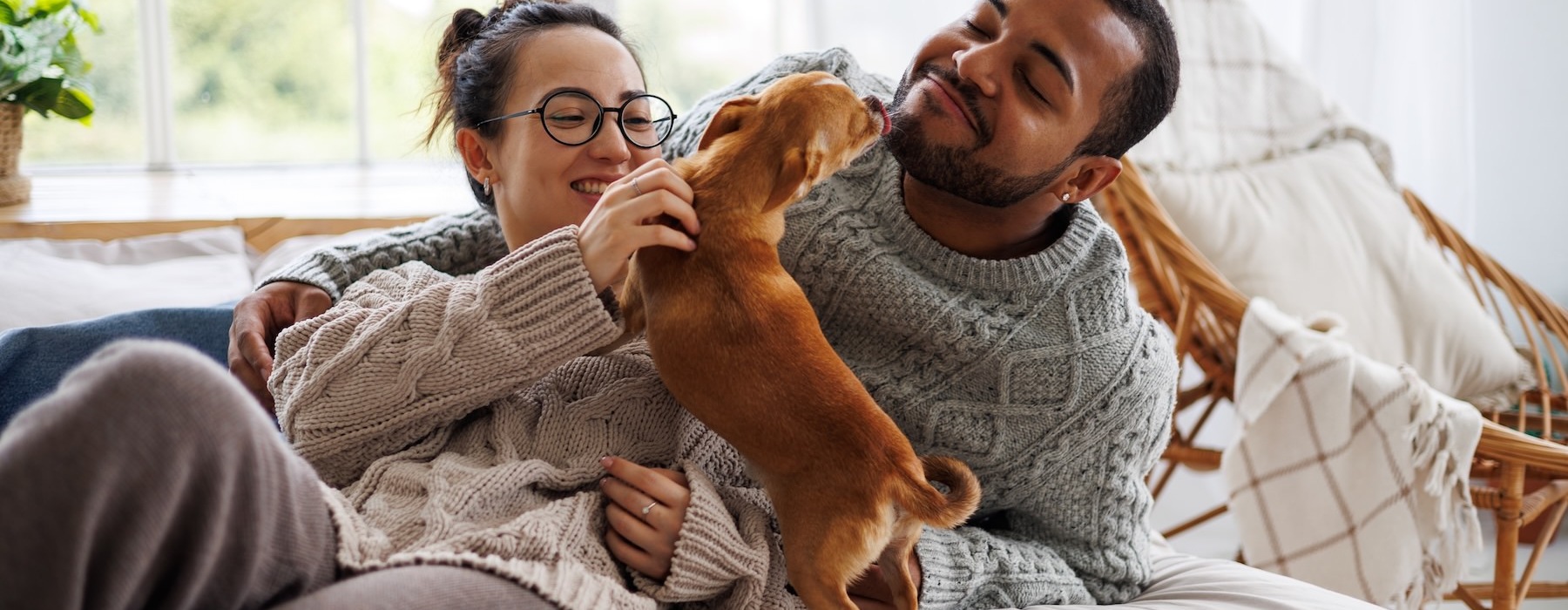 a man and woman lying on a couch with a dog